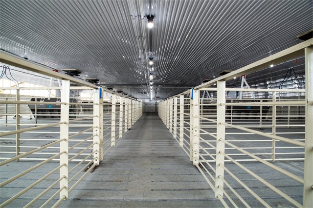 4800 Head Wean to Finish Site, photo 2 of 9