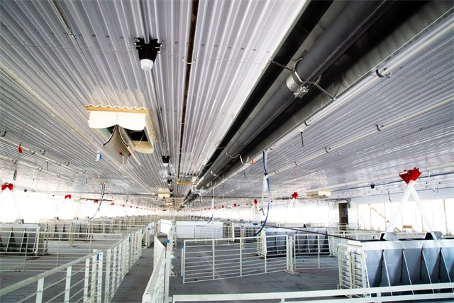 4800 Head Wean to Finish Site, photo 7 of 9