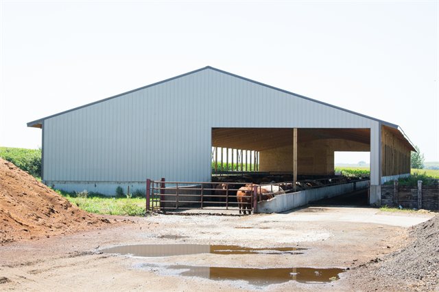 Cattle Confinement Remodel, photo 1 of 6