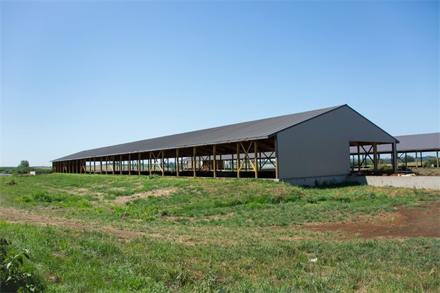Cattle Confinement Remodel, photo 5 of 6