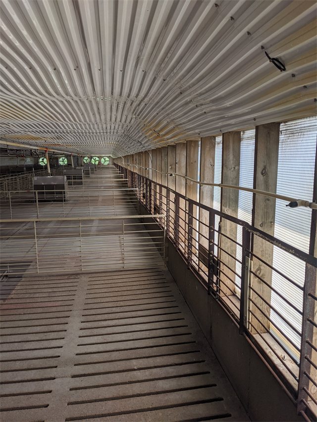Swine Confinement Remodel, photo 4 of 8