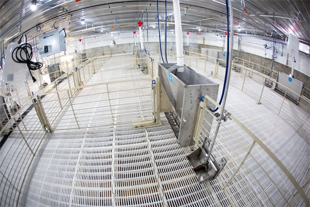 Swine Finishing Site, photo 7 of 9