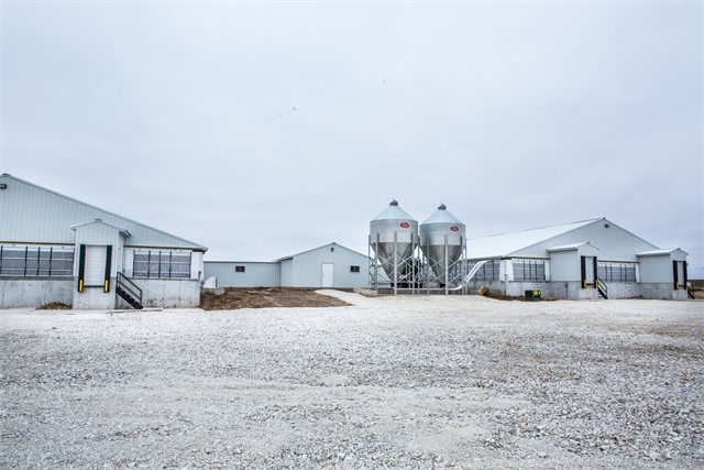 Swine Finishing Site, photo 5 of 12