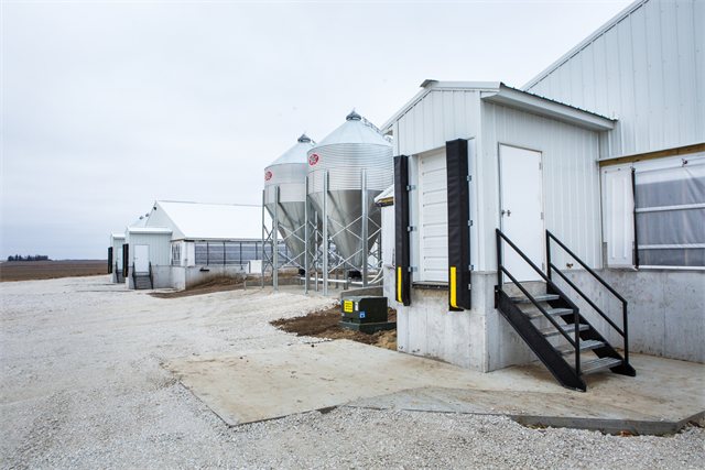 Swine Finishing Site, photo 7 of 12