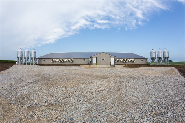 Swine Nursery, photo 1 of 14