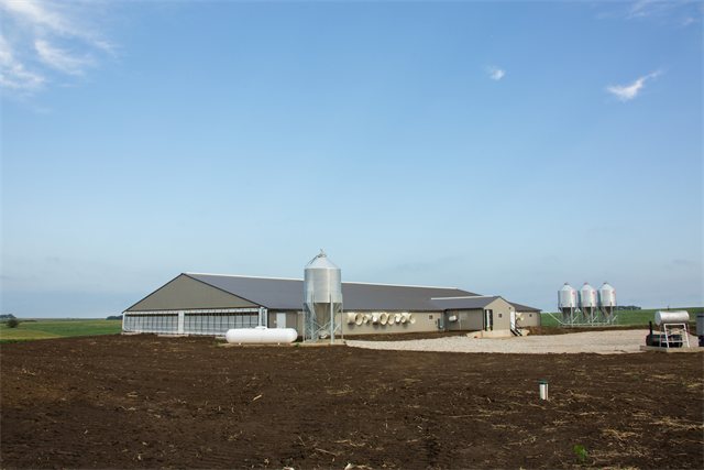 Swine Nursery, photo 2 of 14