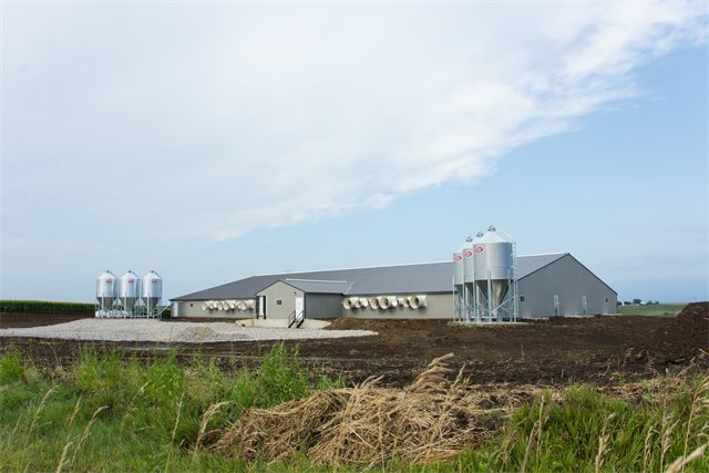 Swine Nursery, photo 3 of 14