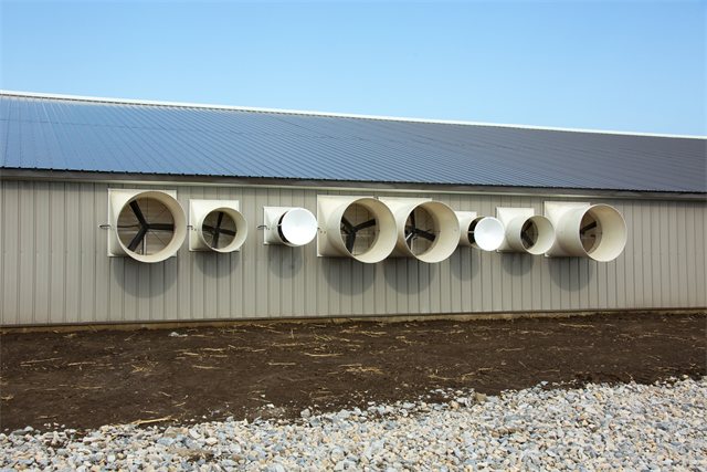 Swine Nursery, photo 5 of 14