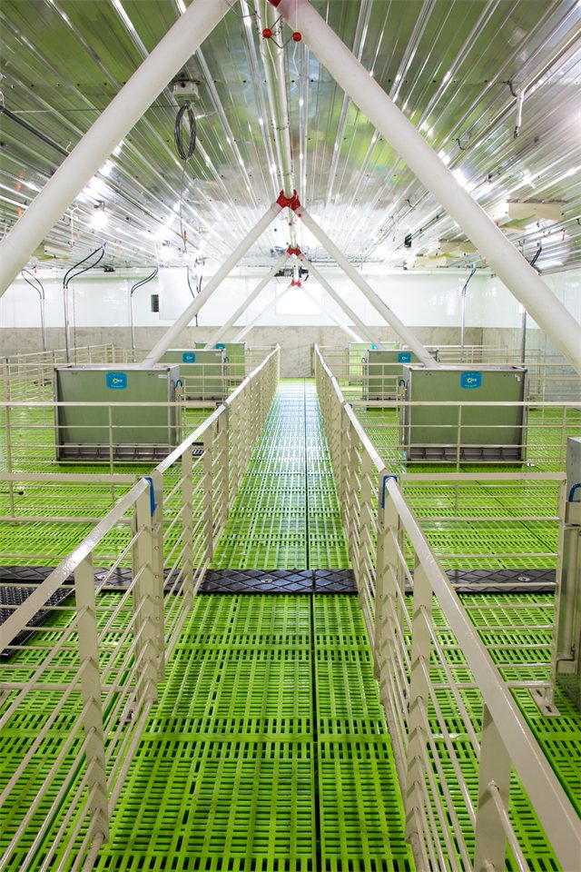 Swine Nursery, photo 7 of 14