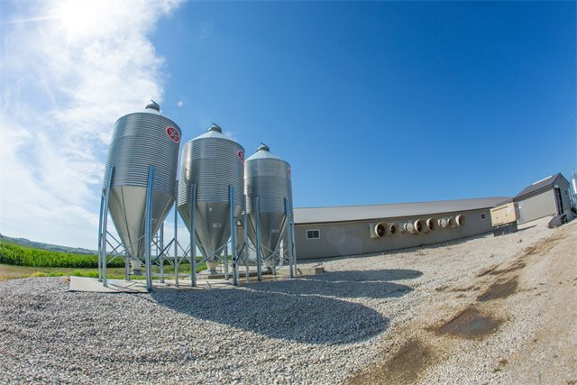 Swine Nursery, photo 12 of 14