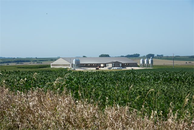 Swine Nursery, photo 13 of 14