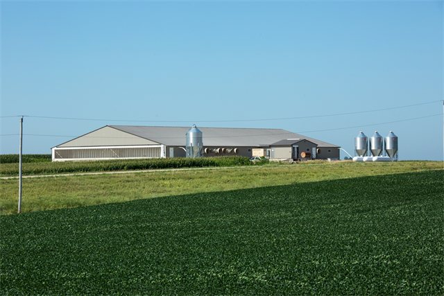 Swine Nursery, photo 14 of 14
