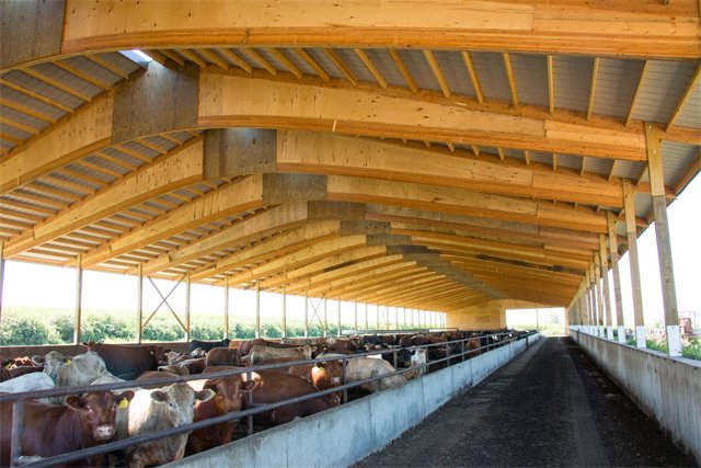 Cattle confinement building